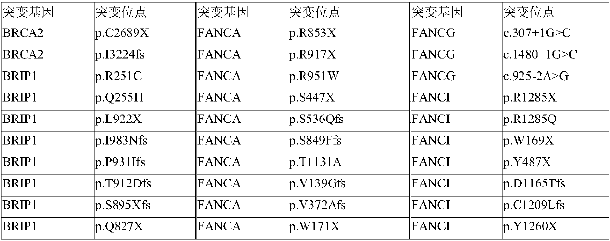 Biomarker for detecting fanconi anemia and detecting kit