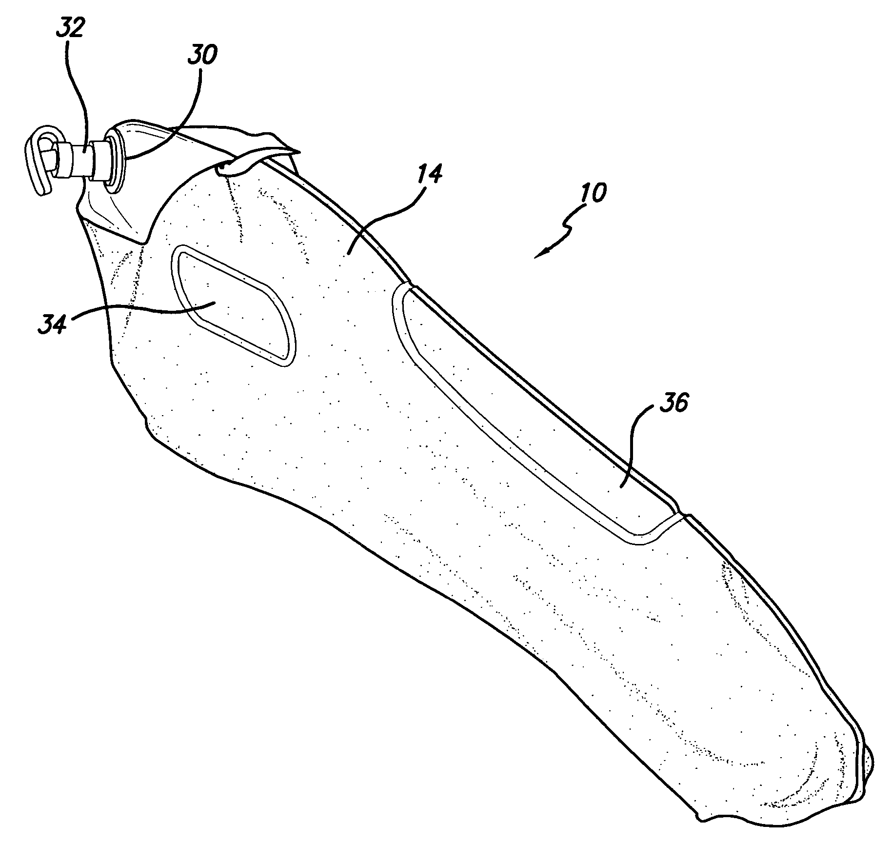 Inflatable shoe tree