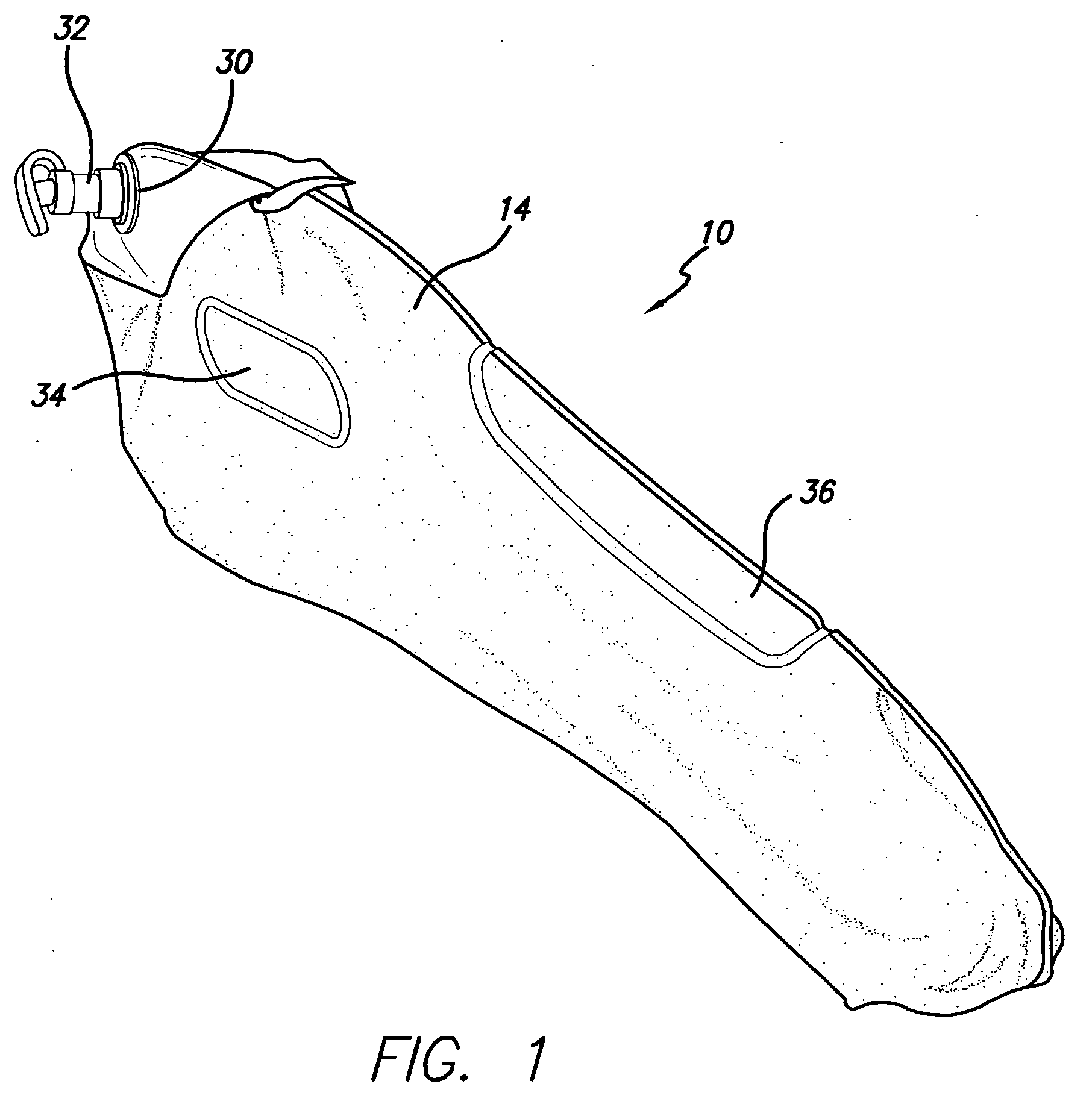 Inflatable shoe tree