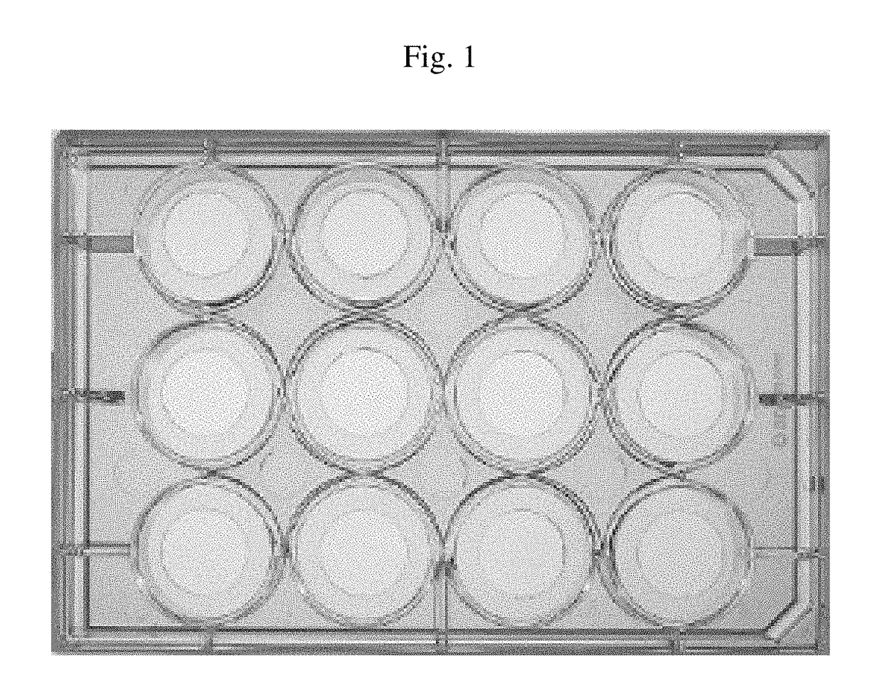 Method of immobilizing a cell on a support using compounds comprising a polyethylene glycol moiety