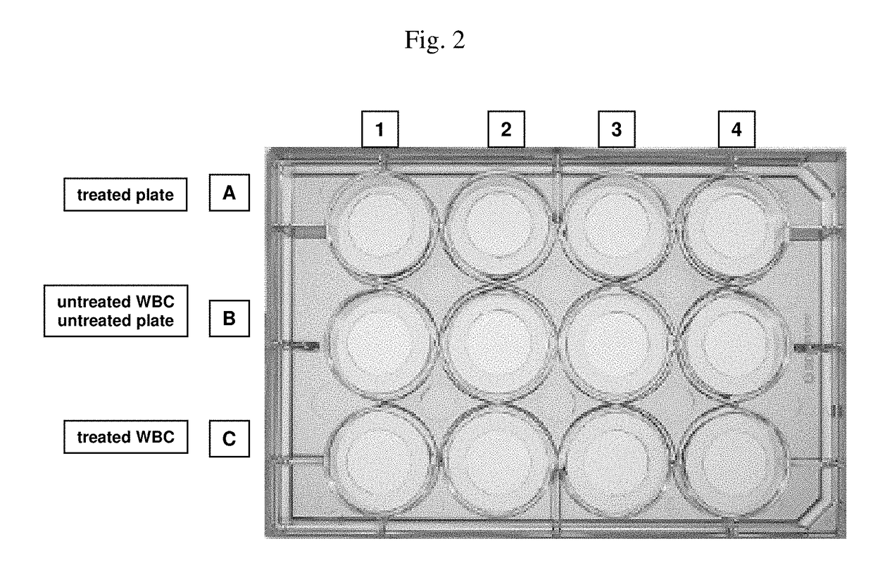 Method of immobilizing a cell on a support using compounds comprising a polyethylene glycol moiety