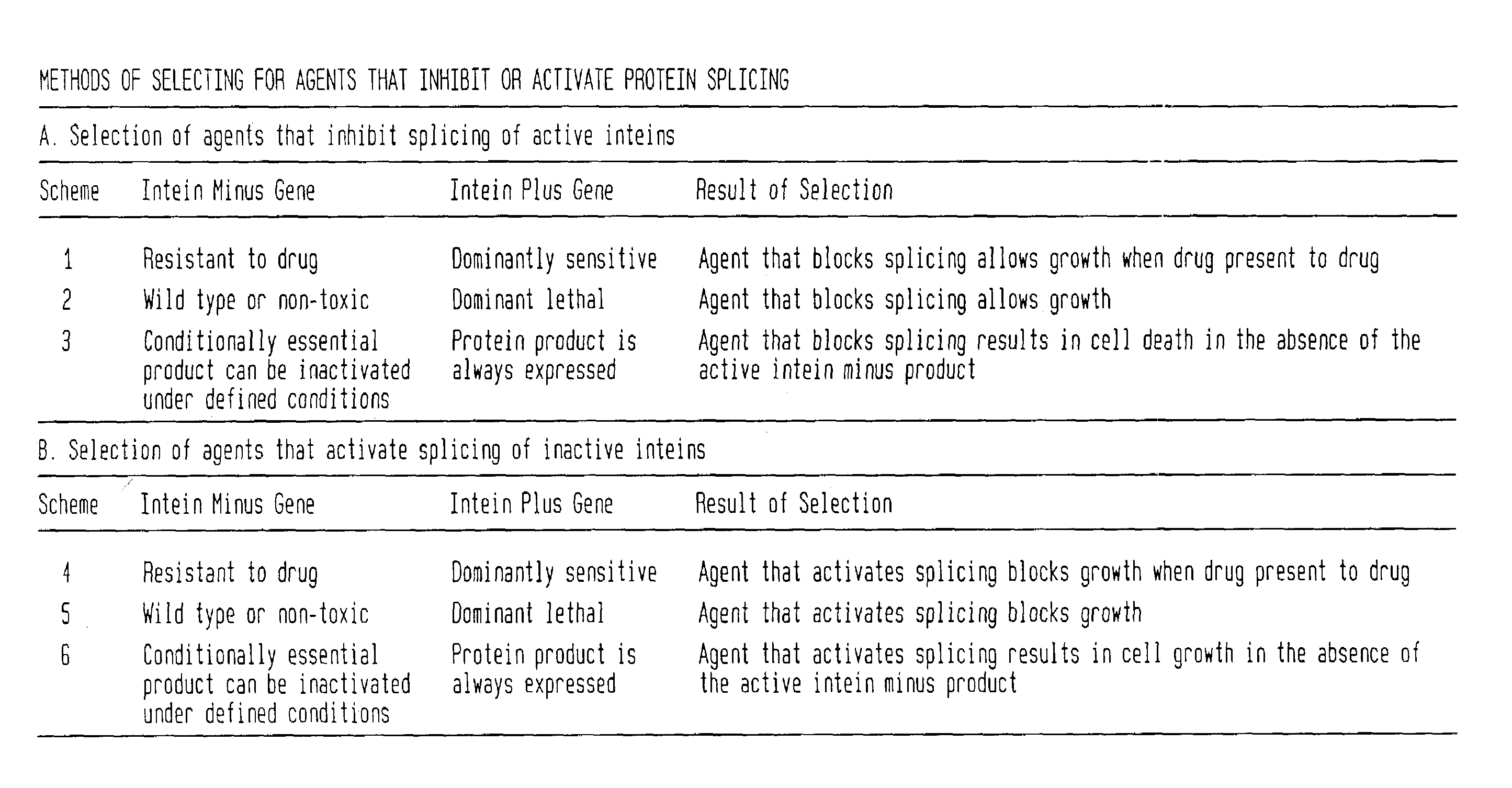 Screening and use of agents which block or activate intein splicing utilizing natural or homologous exteins