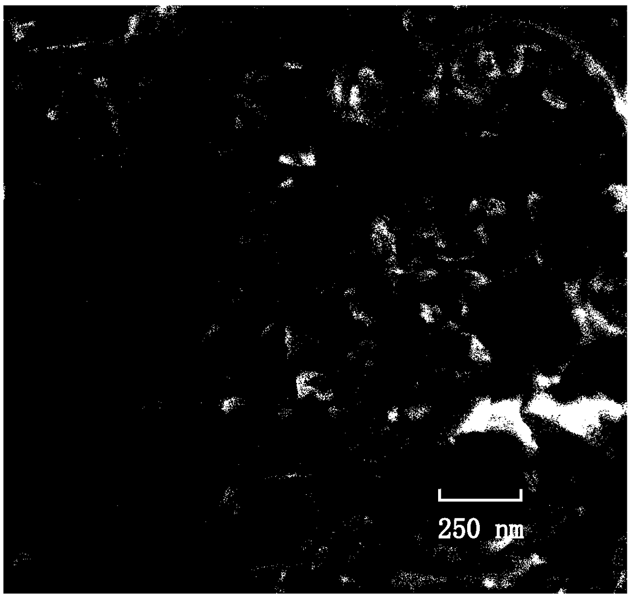 Superamphiphobic self-cleaned fluorosilicone coating material and preparation method thereof