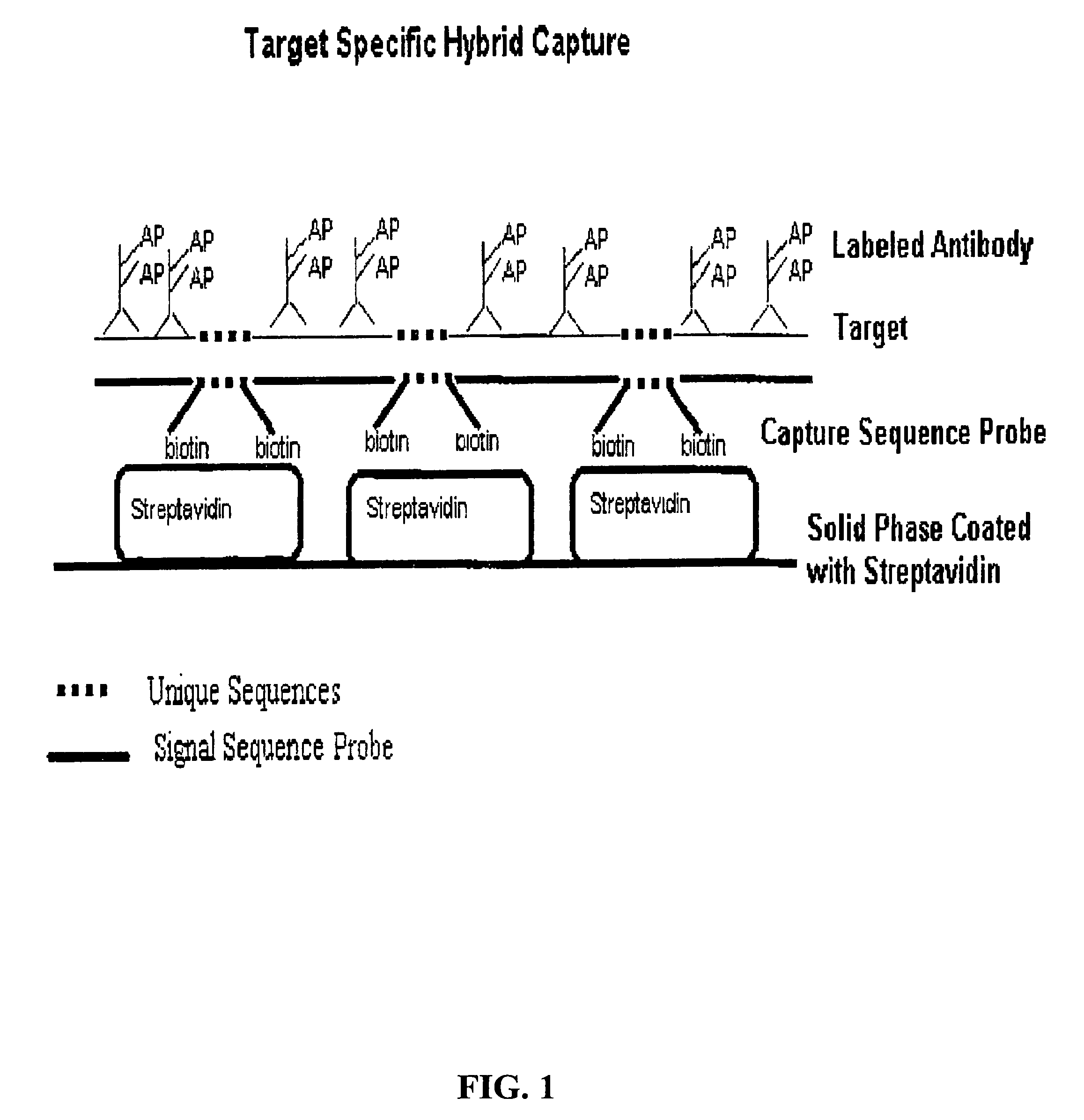 Detection of nucleic acids by type-specific hybrid capture method