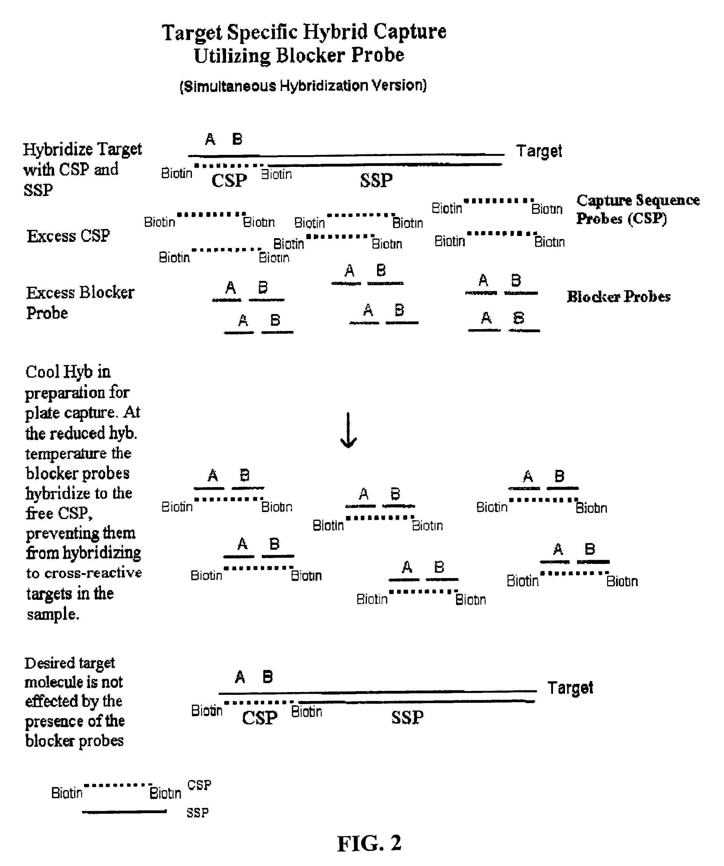 Detection of nucleic acids by type-specific hybrid capture method