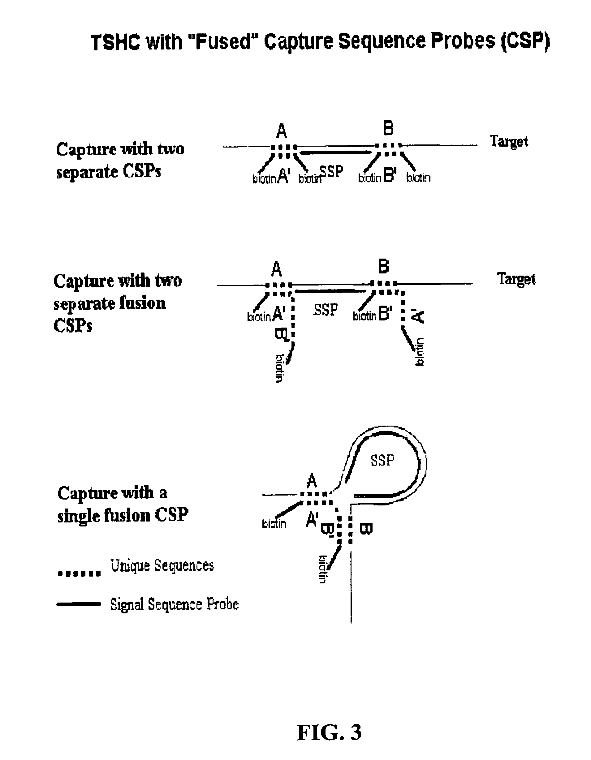 Detection of nucleic acids by type-specific hybrid capture method