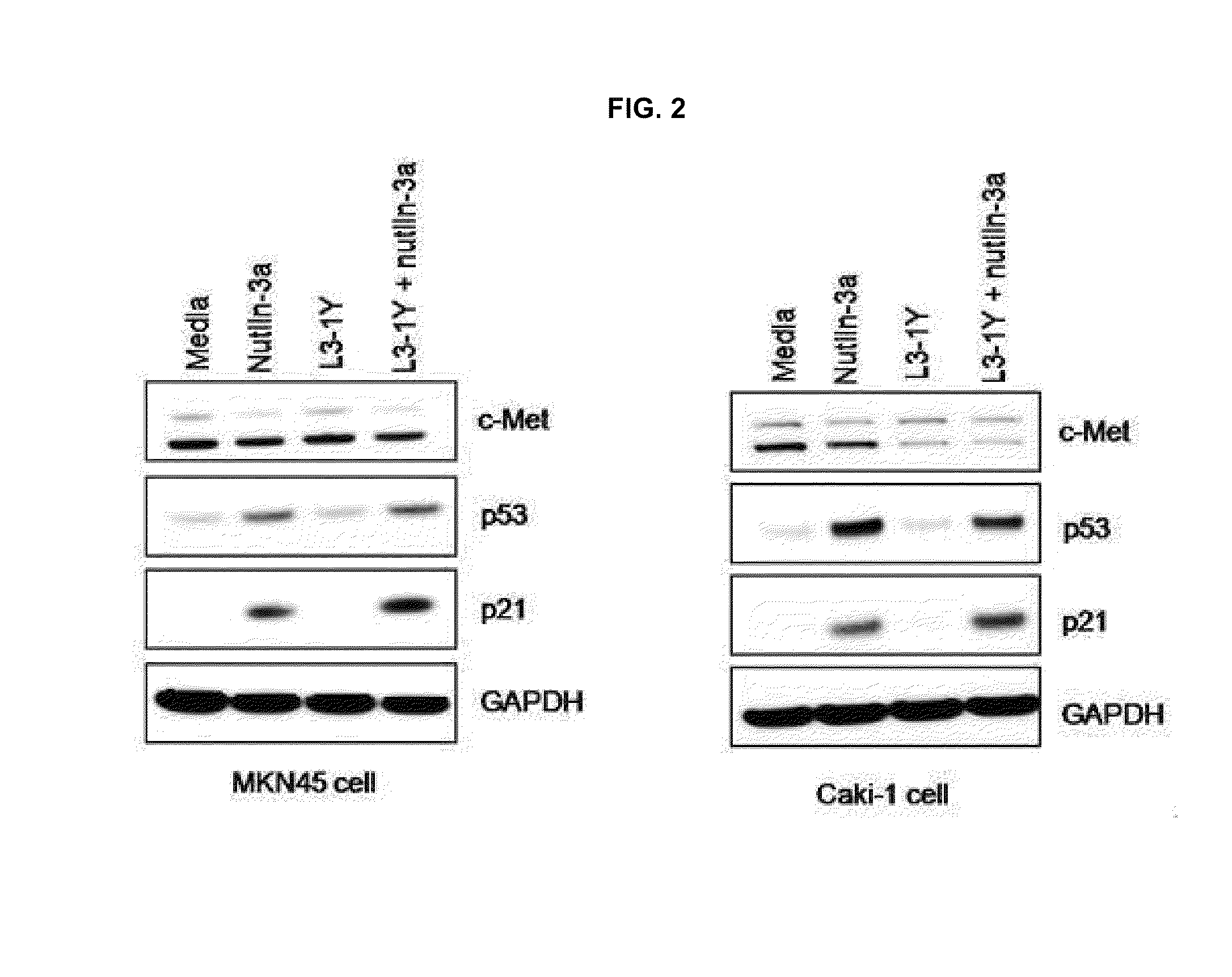 Combination therapy using p53 activator and c-met inhibitor