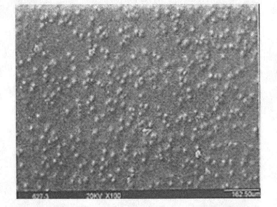 Method for preparing fudosteine molecularly imprinted polymer