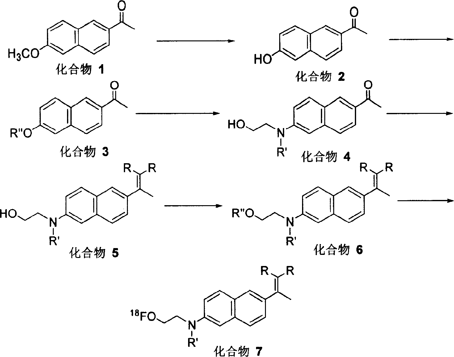 Synthesis method of image agent used for diagnosis of progeria dementia