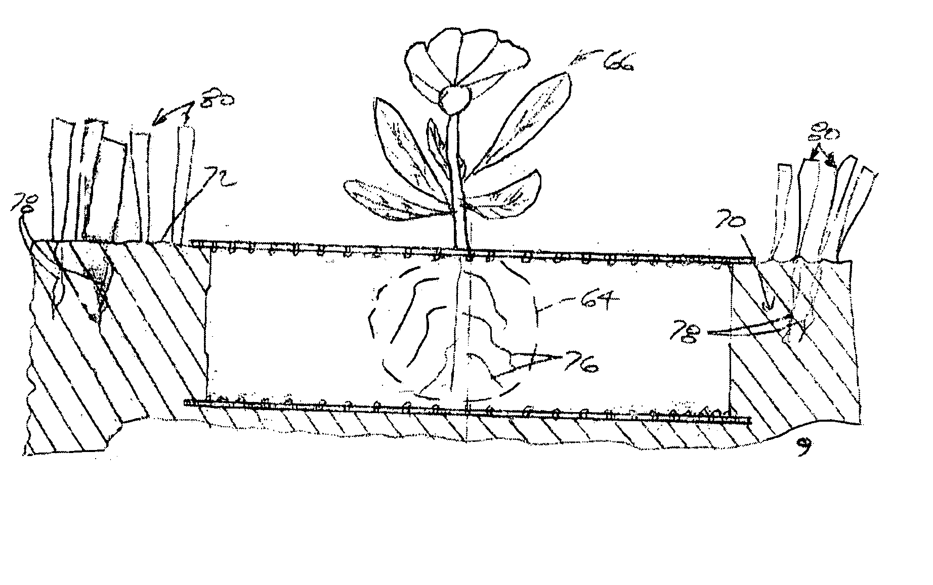 Edge strip for edging plants and making in-ground plant pots