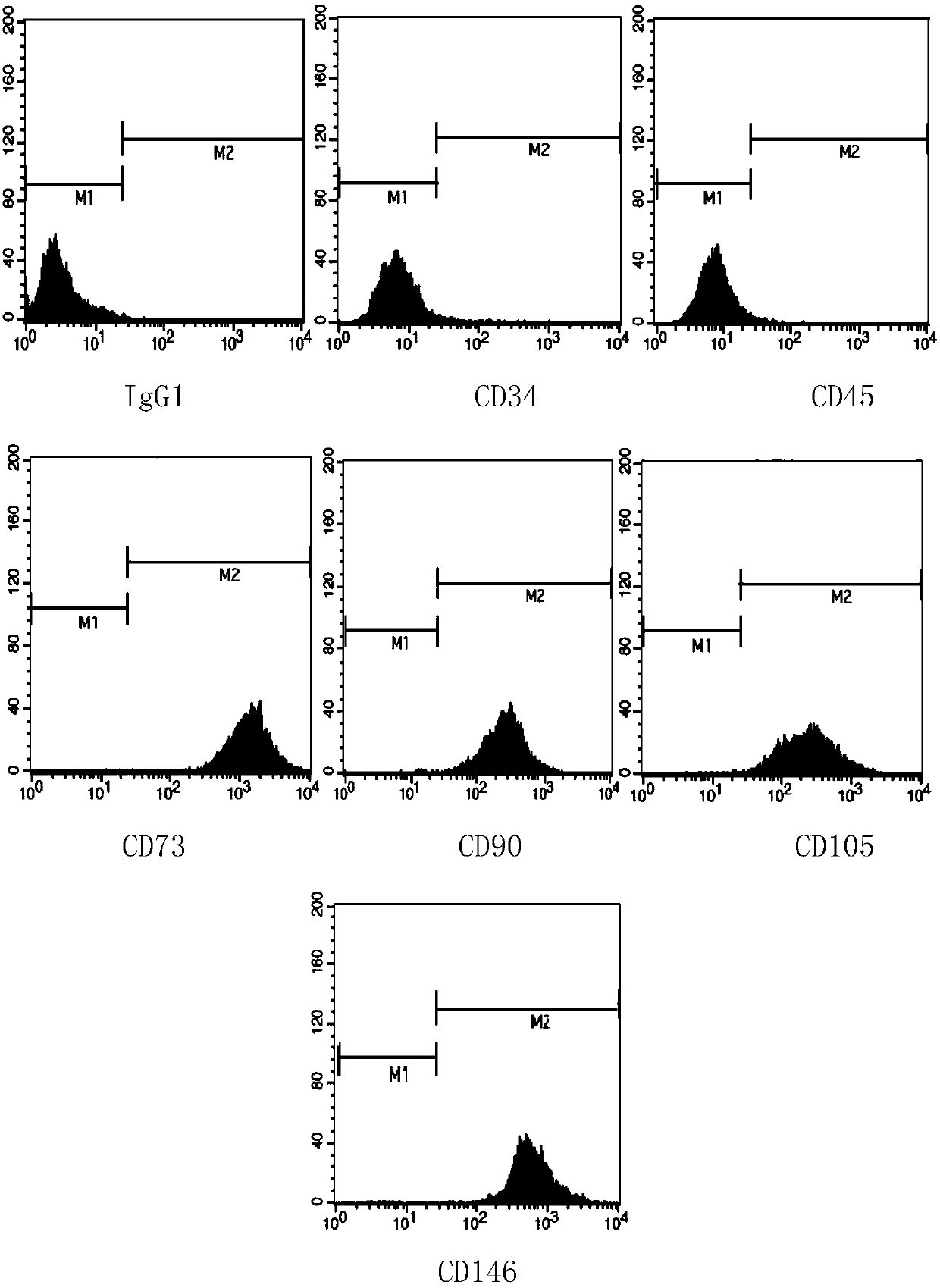 Kit for identification of dental pulp mesenchymal stem cells