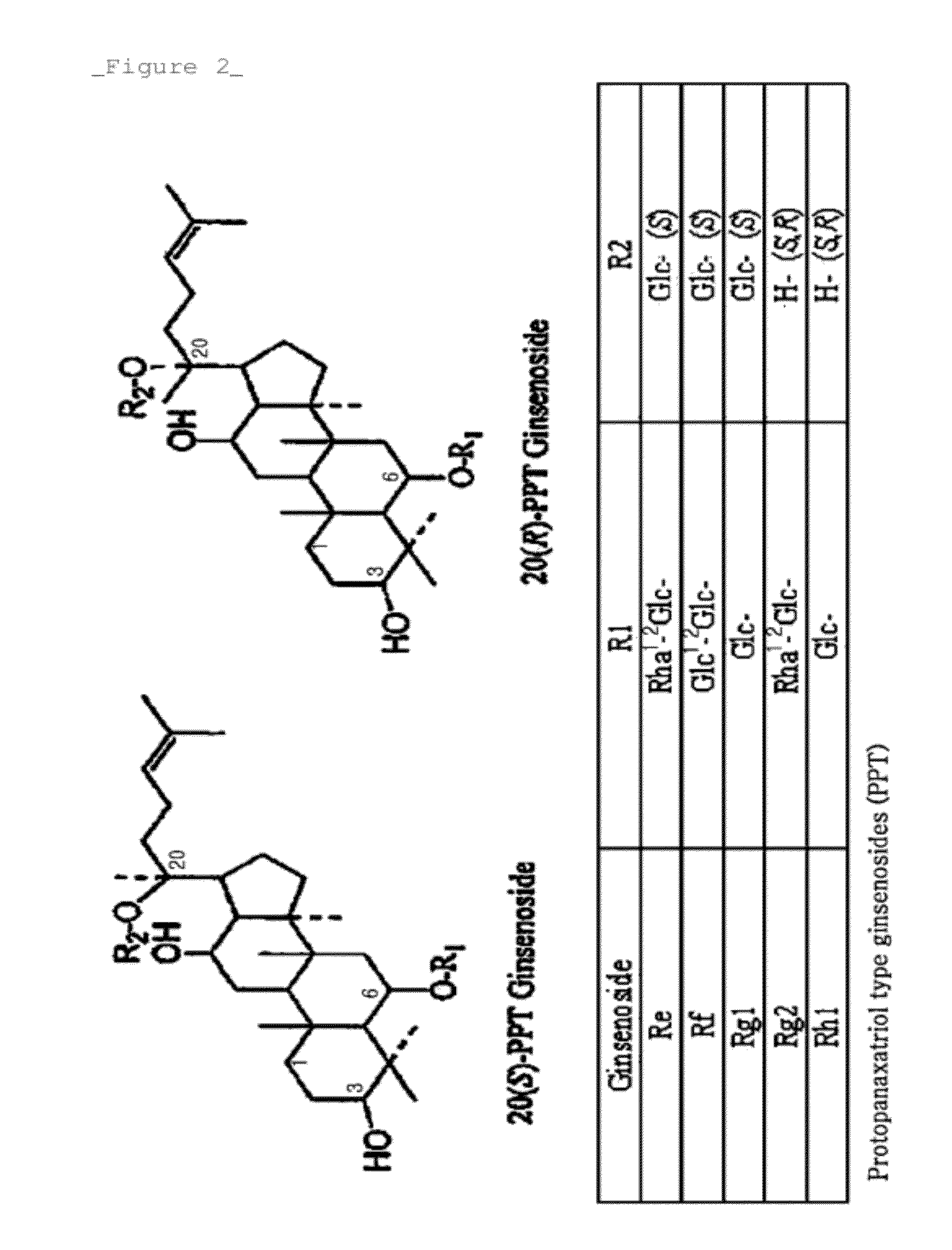 Rhodanobacter Ginsenosidimutans KCTC22231T-Derived Ginsenoside Glycosidase, and Use Thereof