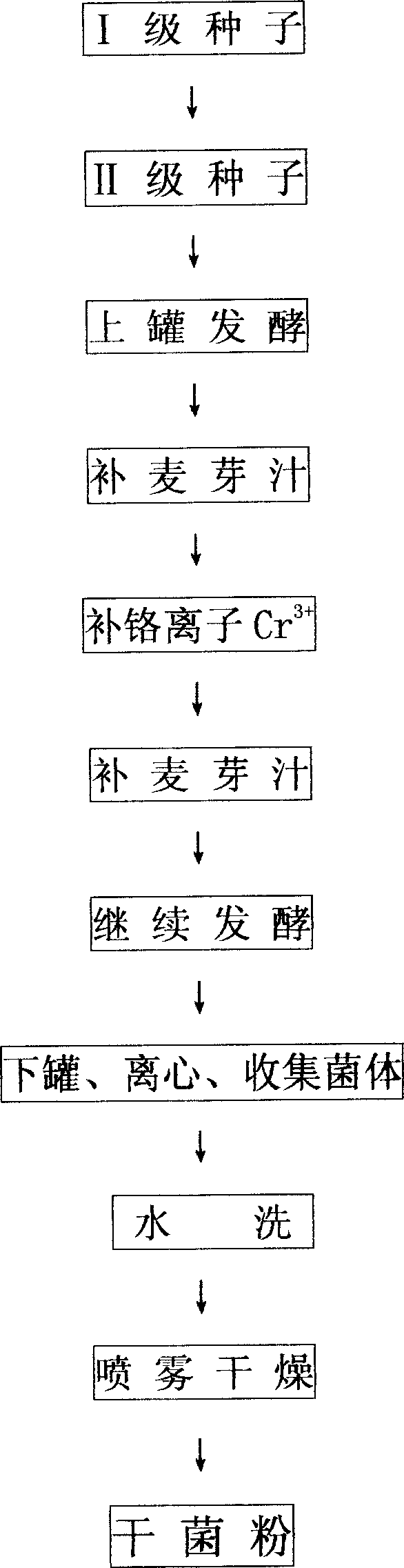 Process for preparing chromium-enriched beer yeast