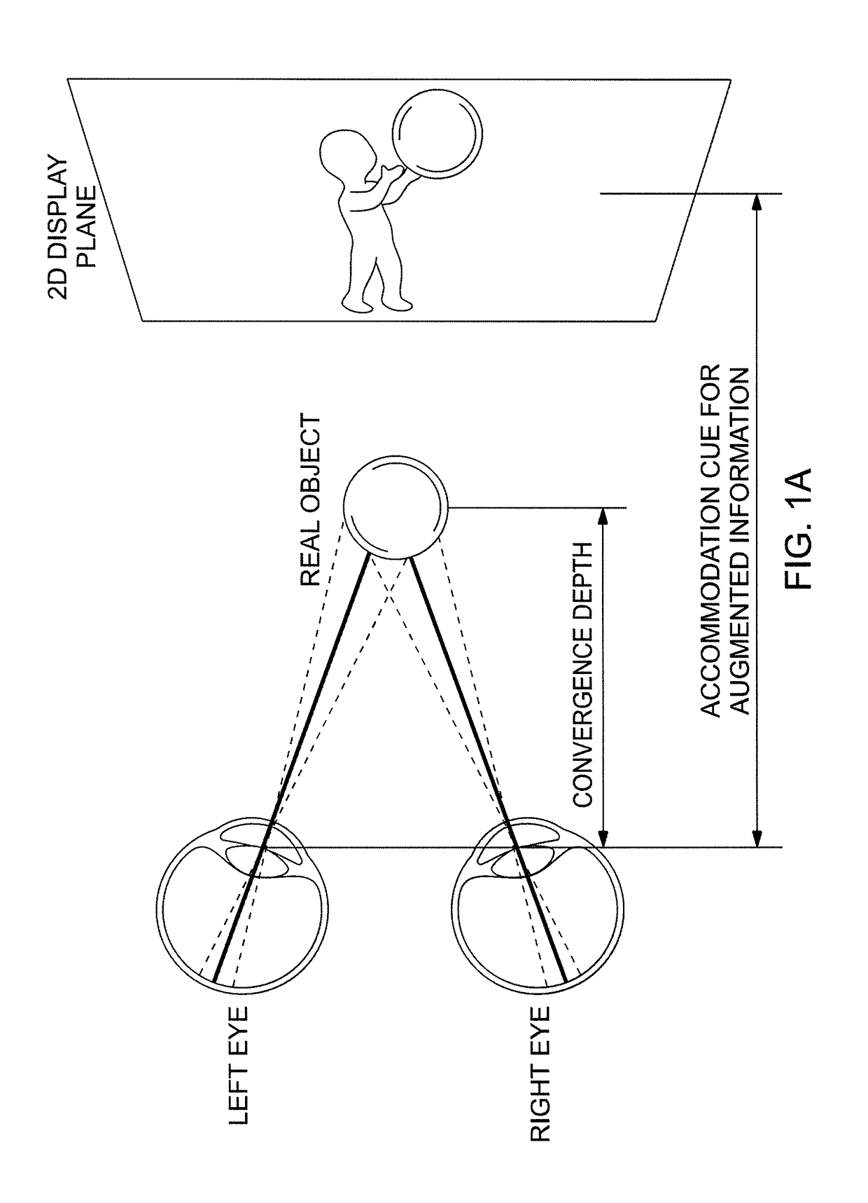 A wearable 3D augmented reality display