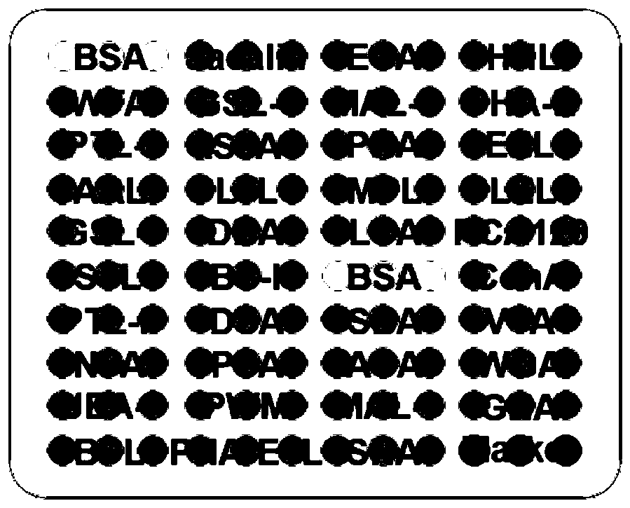 Application of specific lectin in preparation of test tool for identifying lung cancer and device