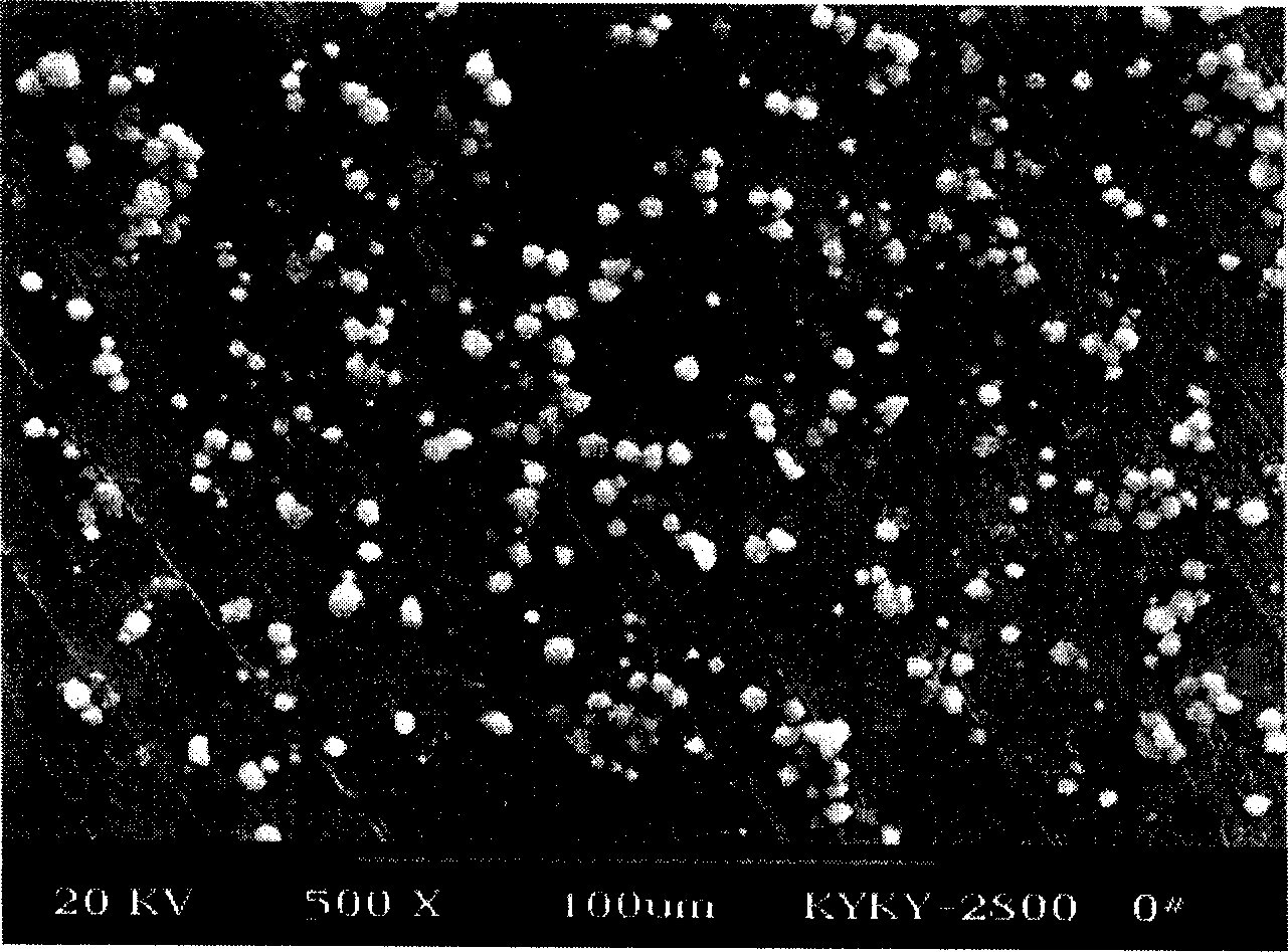 Chemic homogeneous coprecipitation method for preparing precursor body of permanent magnetic material of terrae rare cobalt