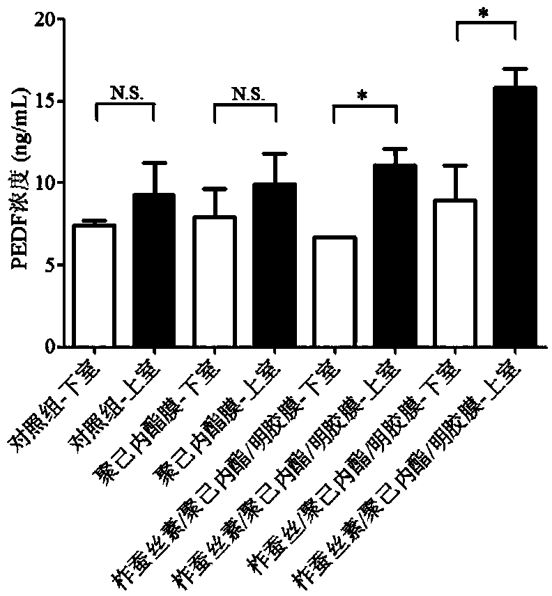 Preparation method of functionalized retinal pigment epithelial cell graft