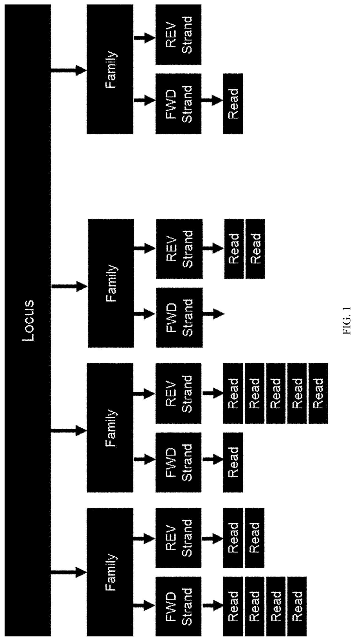 Methods for multi-resolution analysis of cell-free nucleic acids