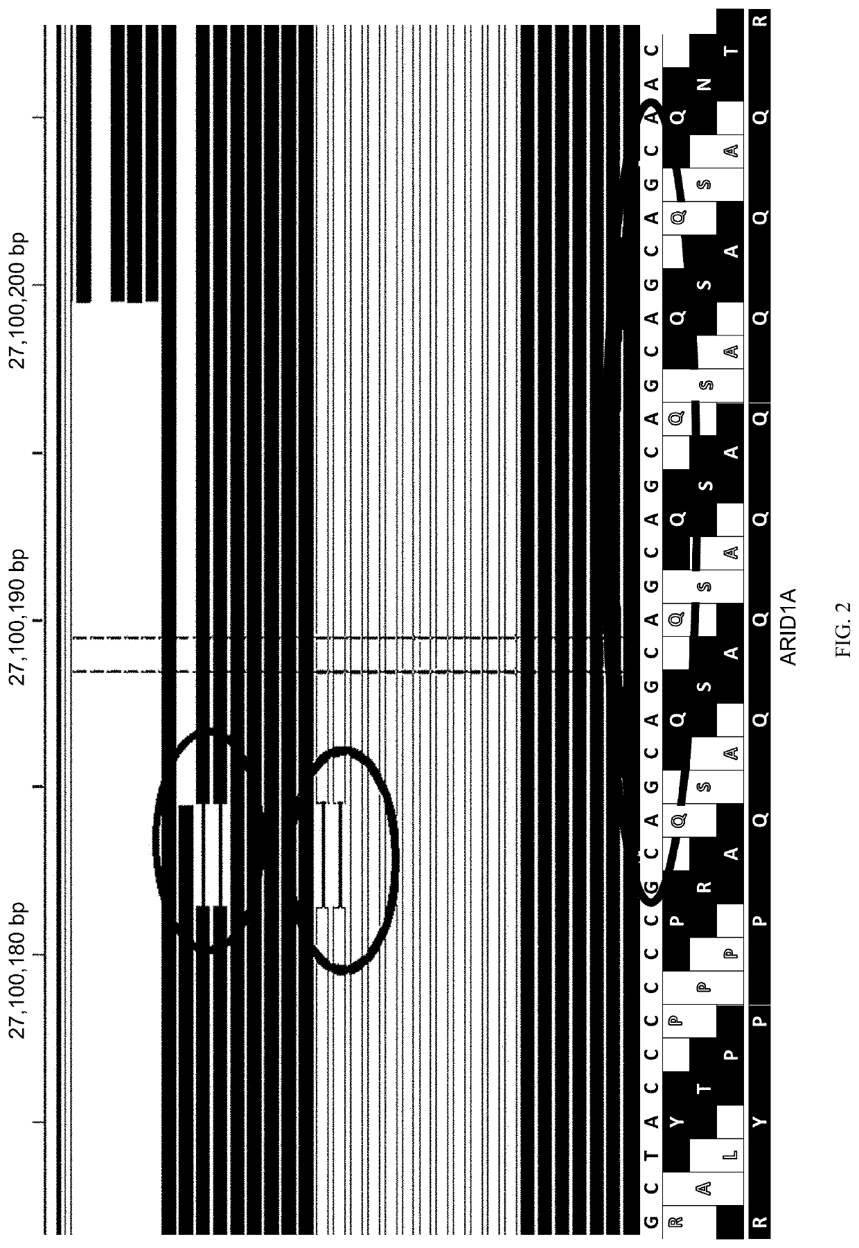 Methods for multi-resolution analysis of cell-free nucleic acids