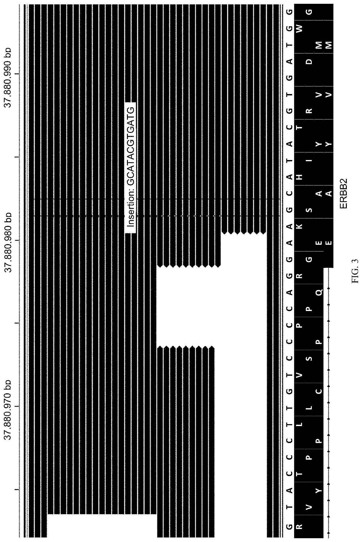 Methods for multi-resolution analysis of cell-free nucleic acids