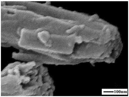 A preparation method of hollow carbon fiber with controllable size