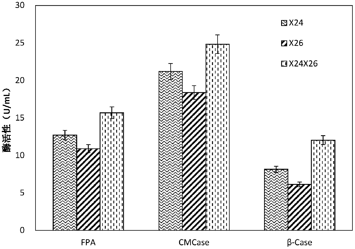 Cellulose degradation composite microbial inoculum with low-temperature resistance as well as preparation method and application of cellulose degradation composite microbial inoculum