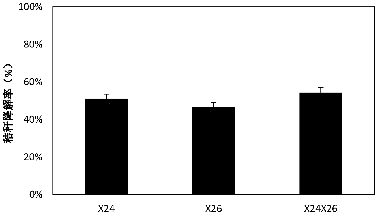 Cellulose degradation composite microbial inoculum with low-temperature resistance as well as preparation method and application of cellulose degradation composite microbial inoculum