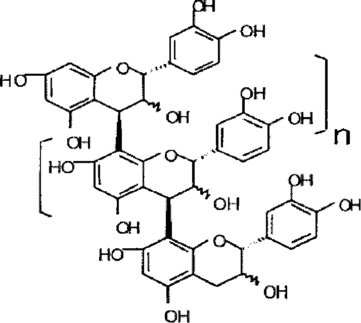 Absorbent article comprising condensed tannin