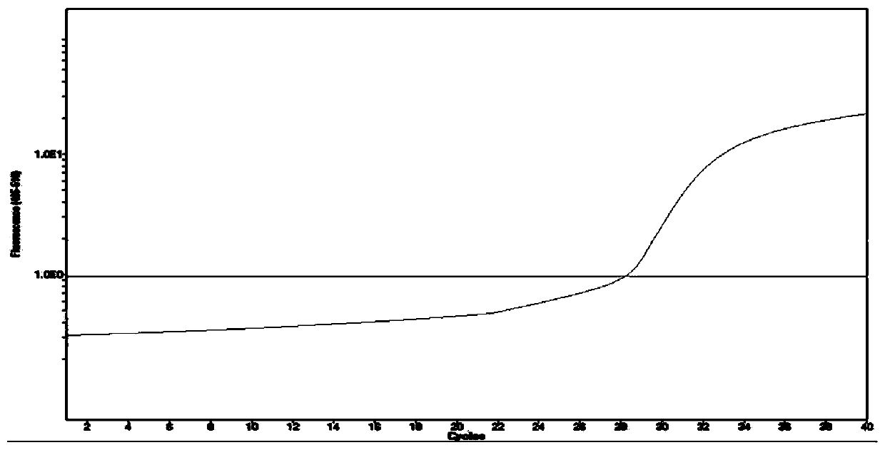 Primers, probes, identification method and kit for identifying fetal chromosome sex in early pregnancy