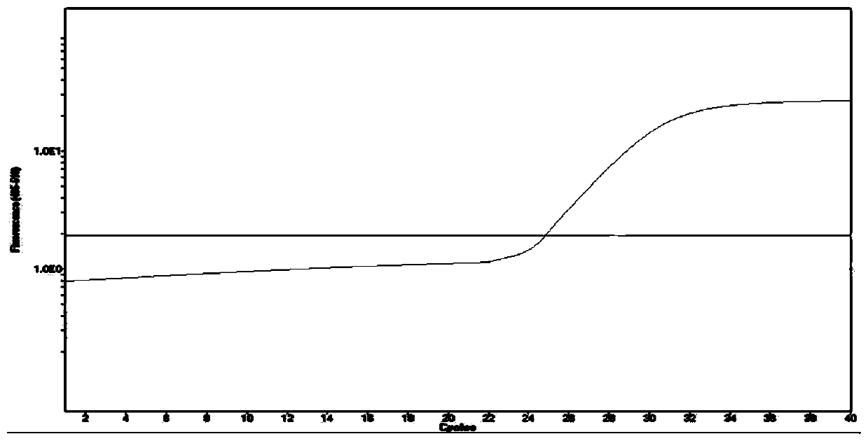 Primers, probes, identification method and kit for identifying fetal chromosome sex in early pregnancy