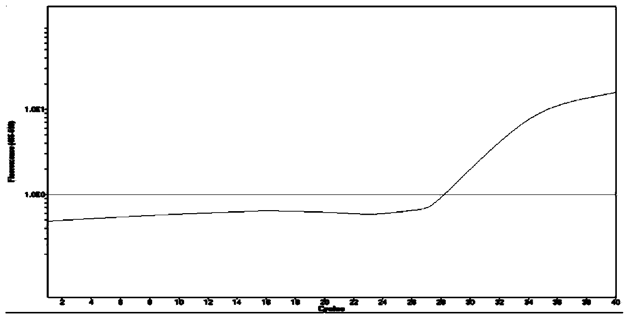 Primers, probes, identification method and kit for identifying fetal chromosome sex in early pregnancy