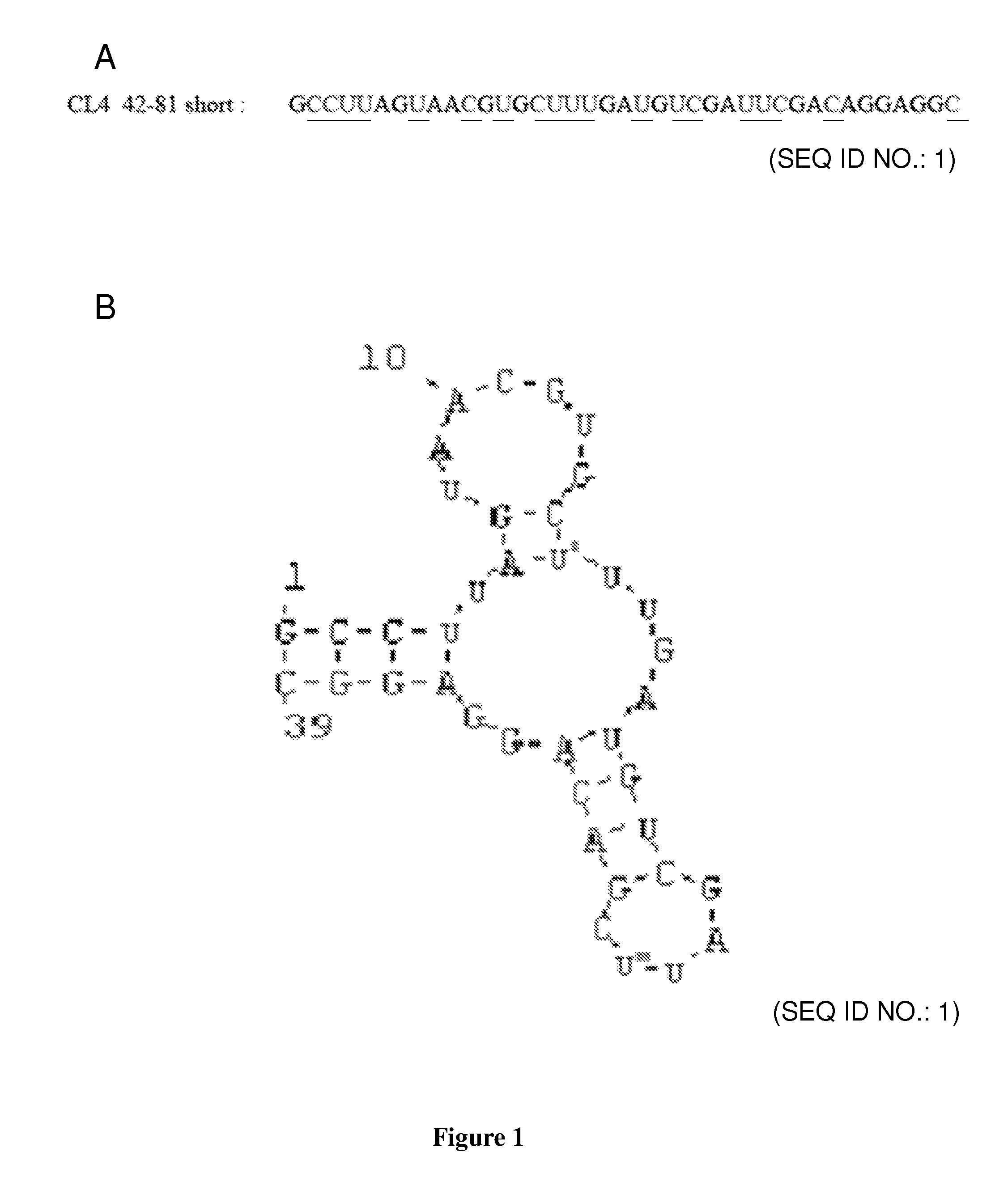 EGFR aptamer inhibitor for use in therapy and diagnosis