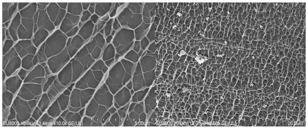 Method for promoting rapid generation of methane hydrate by using carbon nanotube composite hydrogel