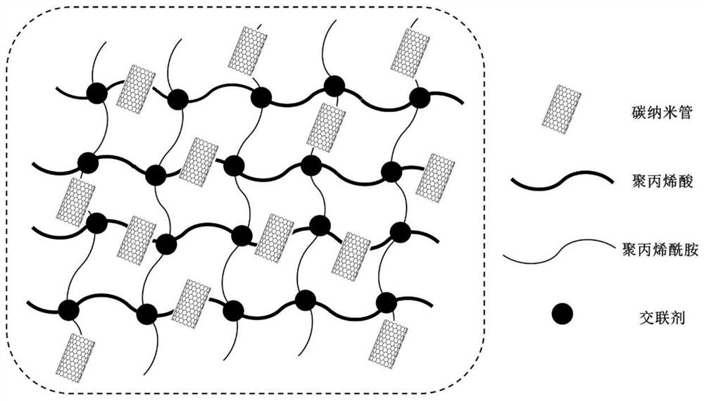 Method for promoting rapid generation of methane hydrate by using carbon nanotube composite hydrogel