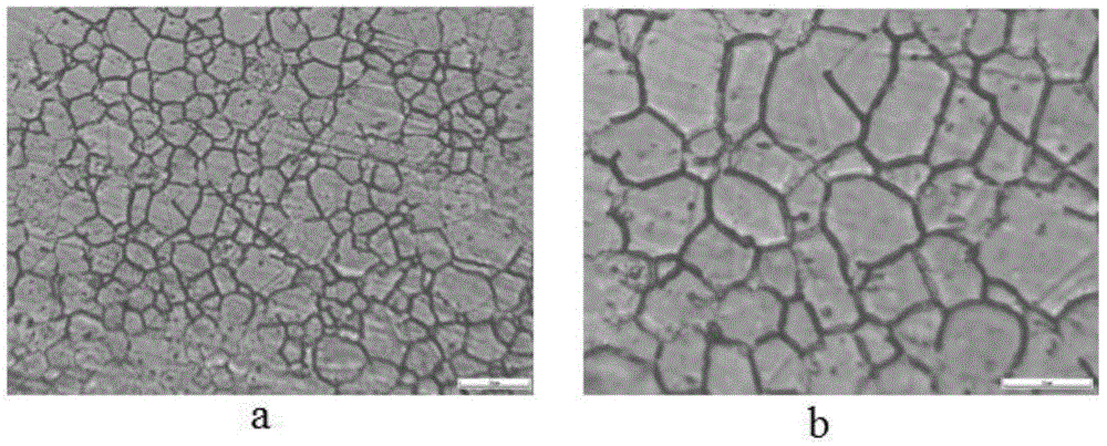 Metallographic phase corrosive agent suitable for silver-palladium copper alloy, and preparation method and use method thereof