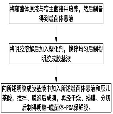 Antibacterial antioxidant degradable preservative film and preparation method thereof