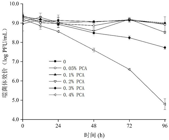 Antibacterial antioxidant degradable preservative film and preparation method thereof