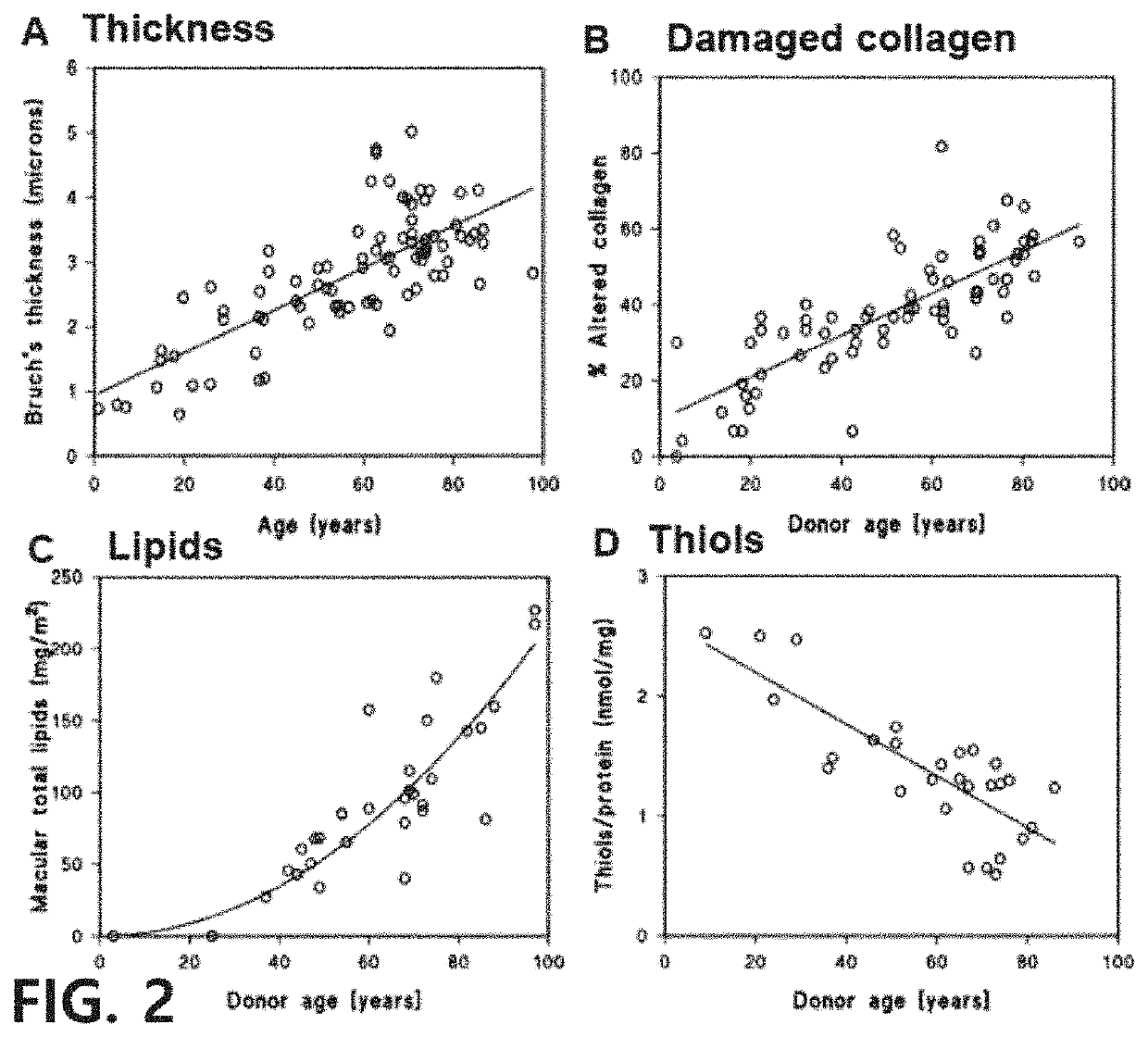 Composition comprising composite extract from ginseng/red ginseng and sea cucumber as effective ingredietn for preventing or treating bruch's membrane hypofunction-related disease