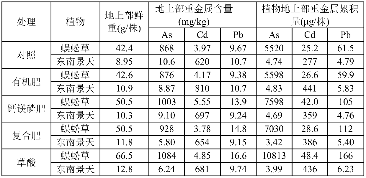 Method for repairing arsenic-cadmium-lead composite contaminated soil by oxalic acid reinforced ciliate desert-grass-sedum alfredii hance intercropping