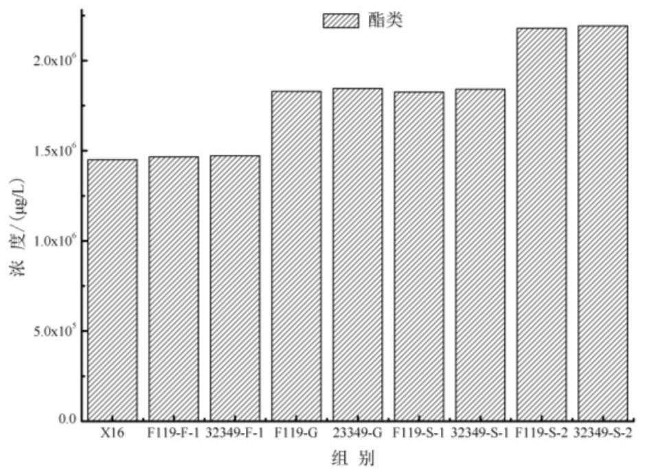 Non-saccharomyces cerevisiae and fermentation method for increasing fragrance of rosa roxburghii fruit wine by using non-saccharomyces cerevisiae