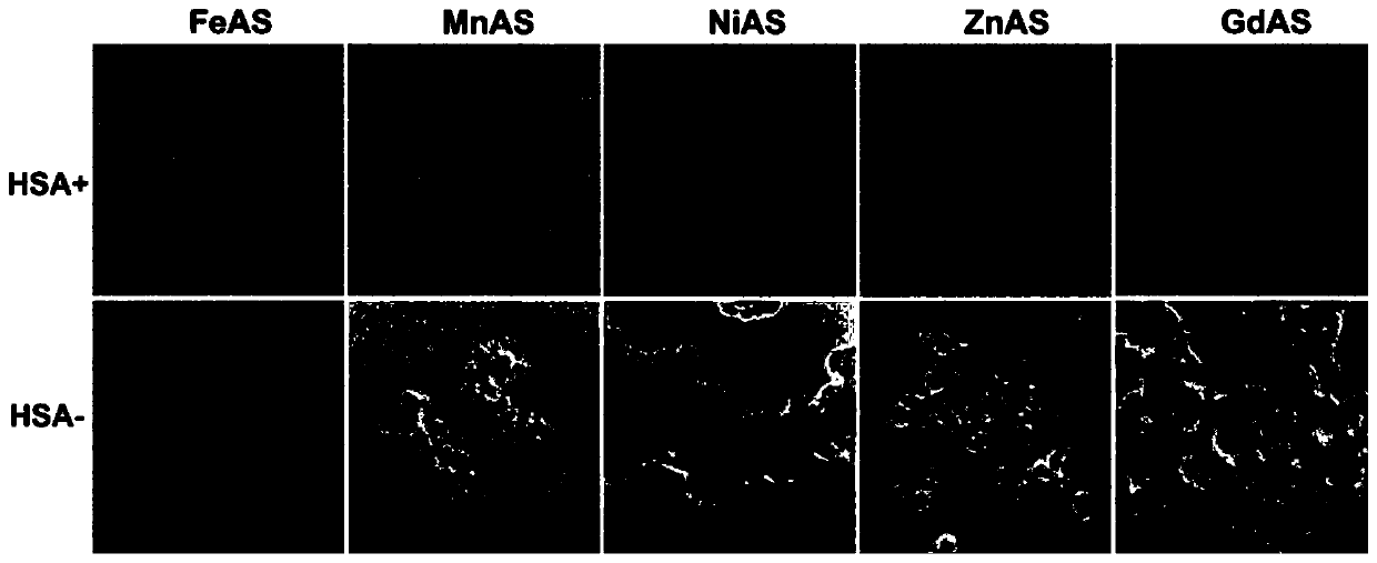 Drug containing arsenic nanoparticles and preparation method thereof