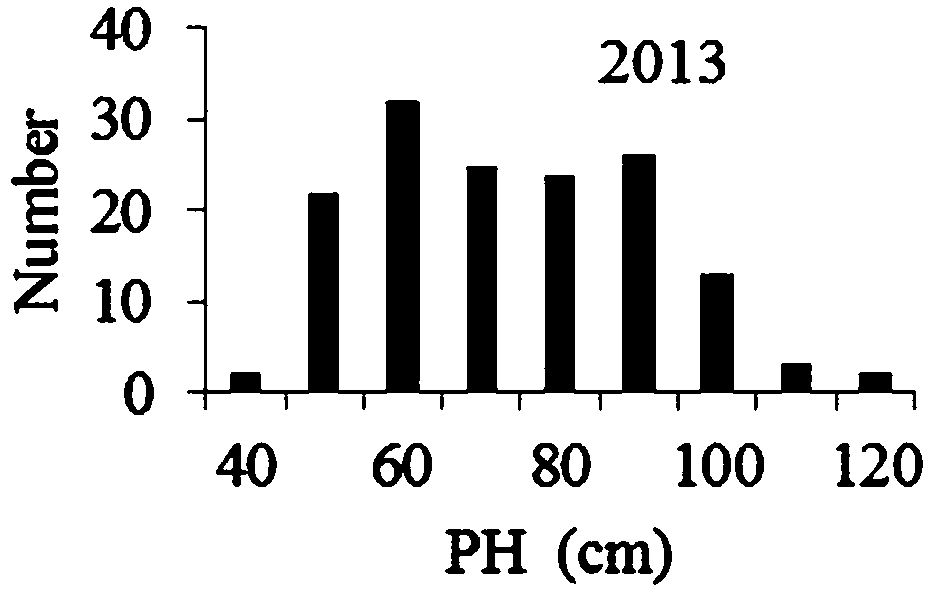 Molecular marker method relevant to plant heights of soy beans and marker combination thereof