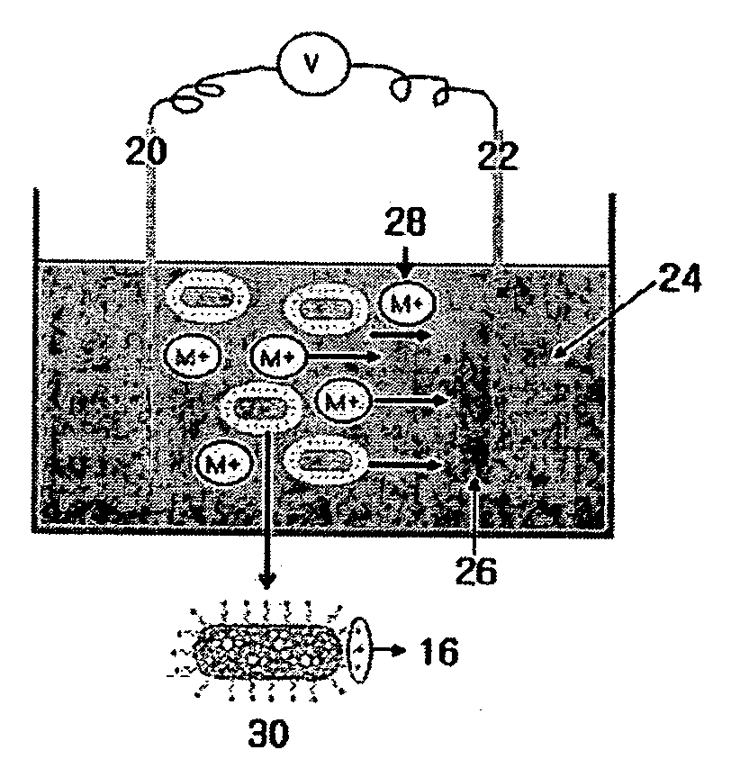 Method for manufacturing metal/carbon nanotube nano-composite using electroplating