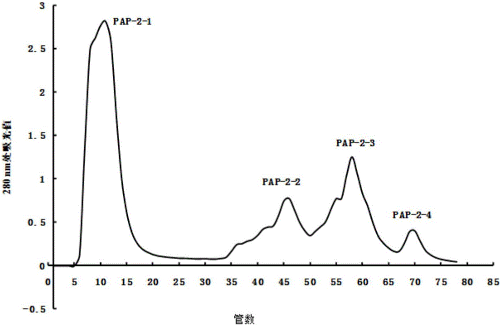 Preparation method of Nereis succinea anti-lung-cancer polypeptides