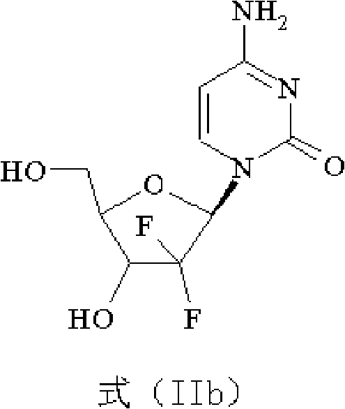 Gemcitabine hydrochloride composition and preparation method thereof