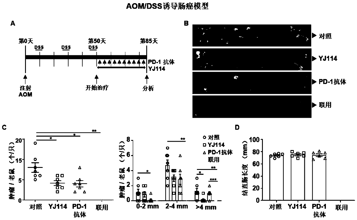 EP4 receptor antagonist and PD-1 inhibitor combined and used for treating cancer