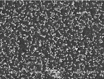 Method for preparing poly sulfoacid inner salt anticoagulant biomaterial via atom transfer radical polymerization