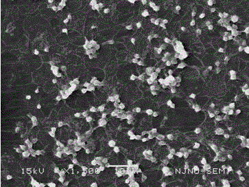 Method for preparing poly sulfoacid inner salt anticoagulant biomaterial via atom transfer radical polymerization