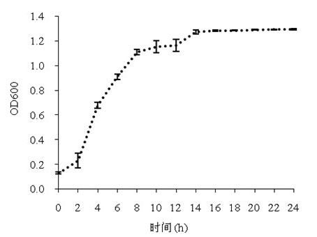 Lactococcus lactis fermented at low temperature and method for preparing yoghurt by using Lactococcus lactis