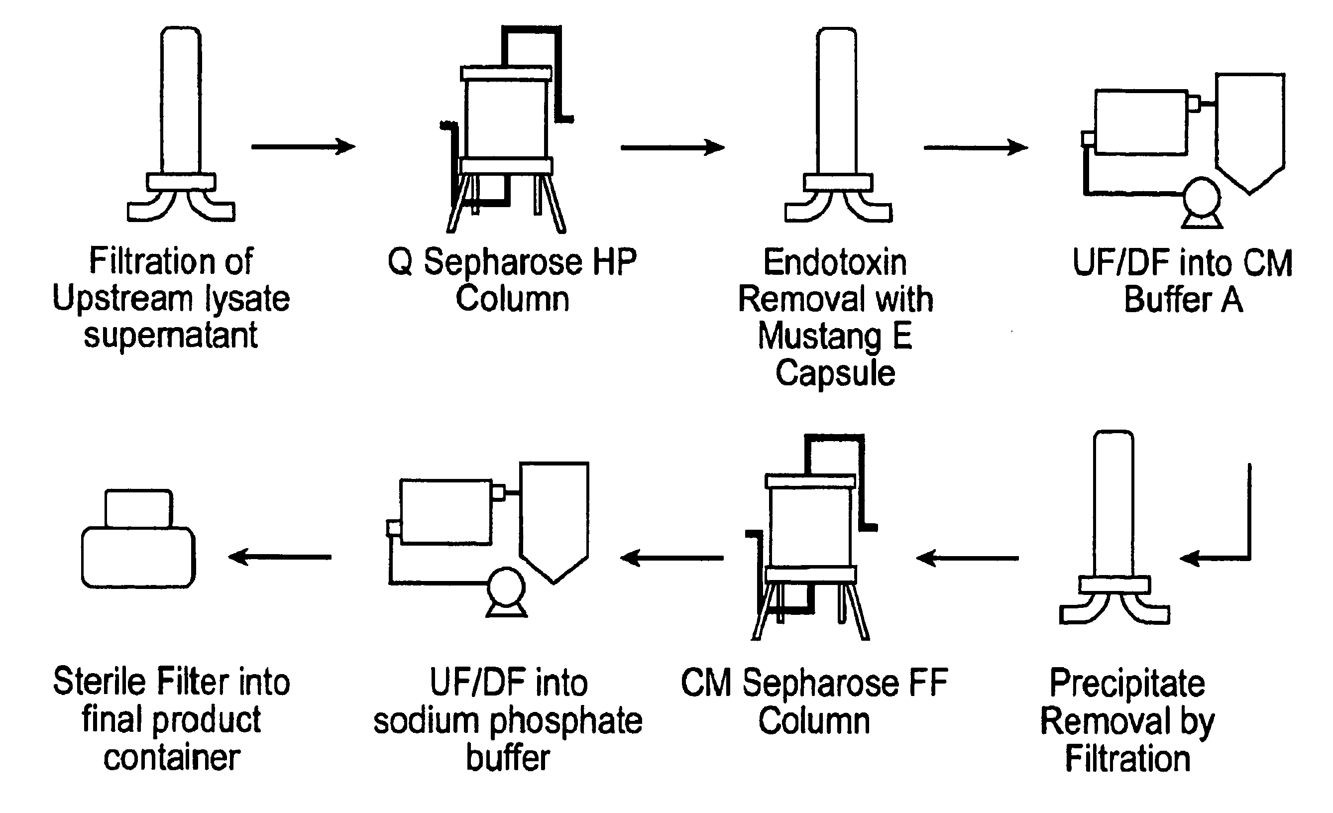 tRNA synthetase fragments